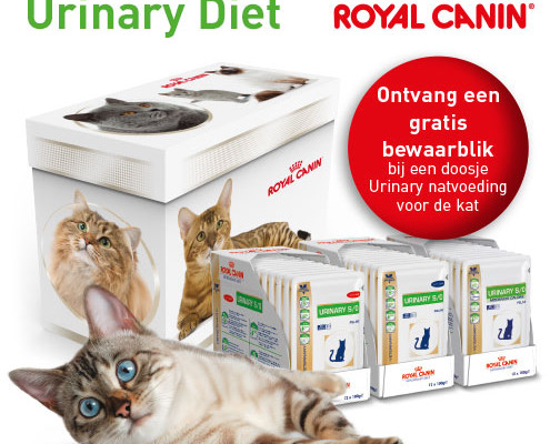 voordelig dieetvoeding kat | Dierenkliniek Eland