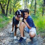 vakantie checklist voor uw hond
